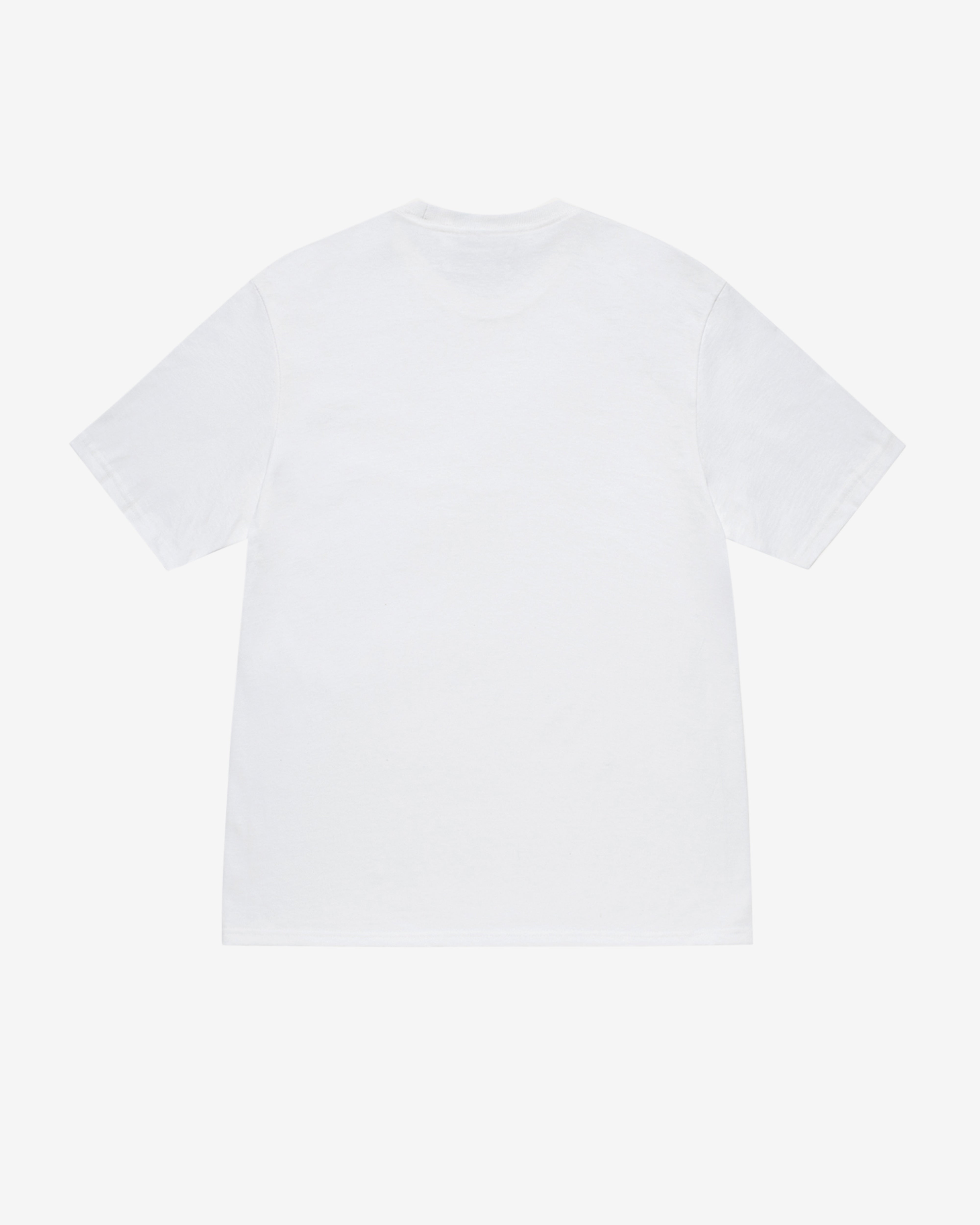 Stüssy - Carton T-Shirt - (White)