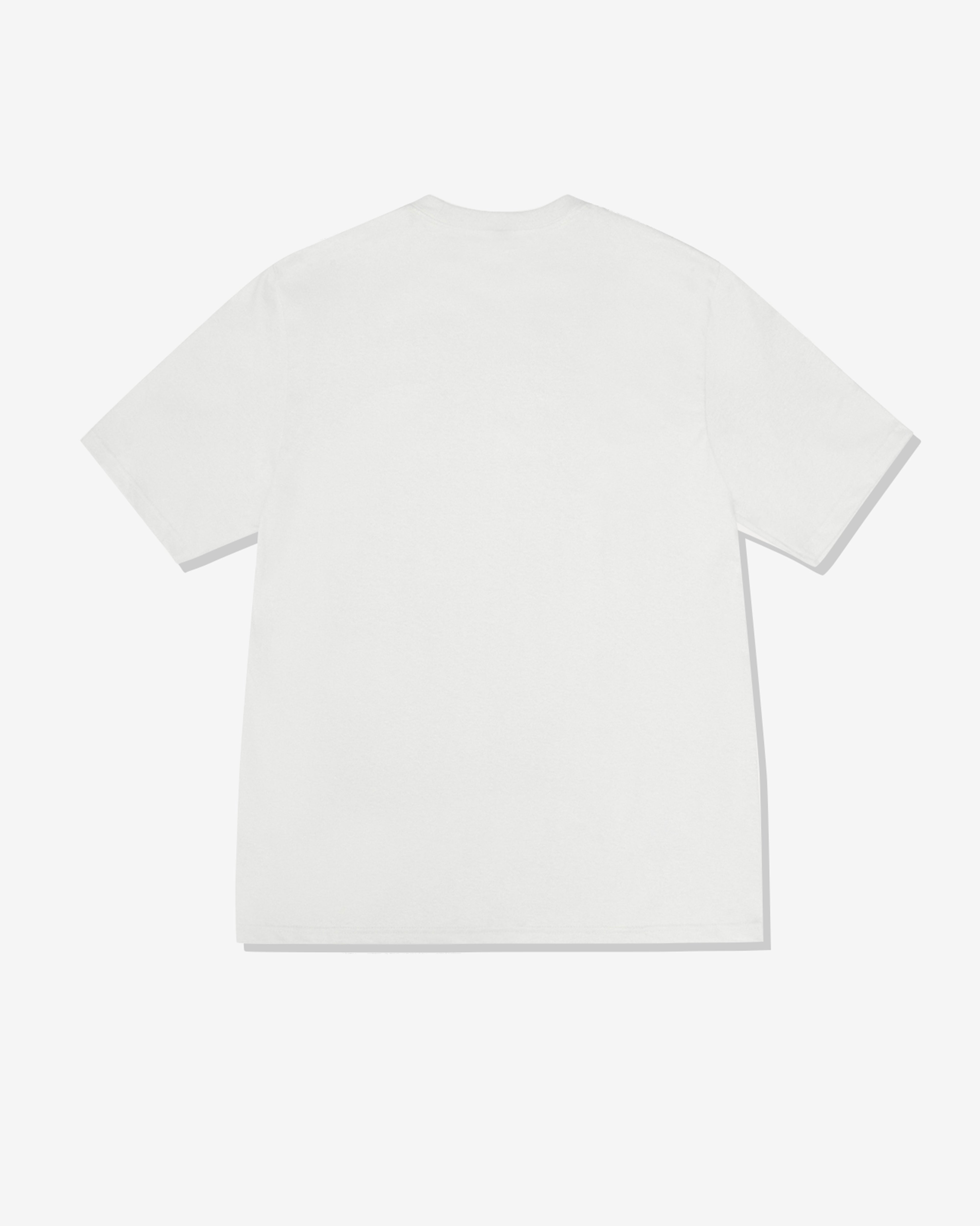 Stüssy - Men's Wes Wings Pigment Dyed T-Shirt - (Natural)